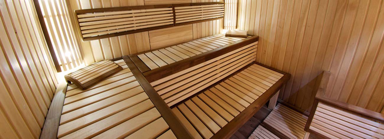 best infrared sauna heaters